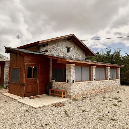 Crown Chalet Arachova Villa Exterior photo